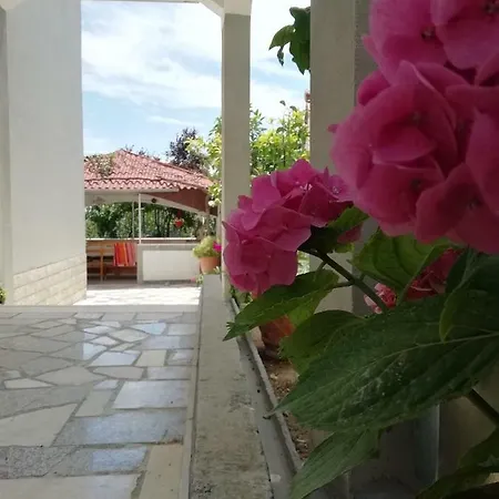 Apartment Lucija Solin