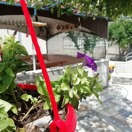 Apartment Lucija *