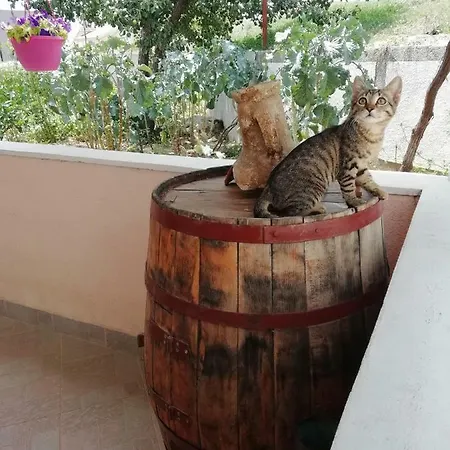 Lucija Solin
