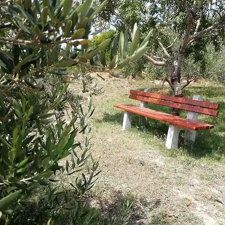 Lucija Solin