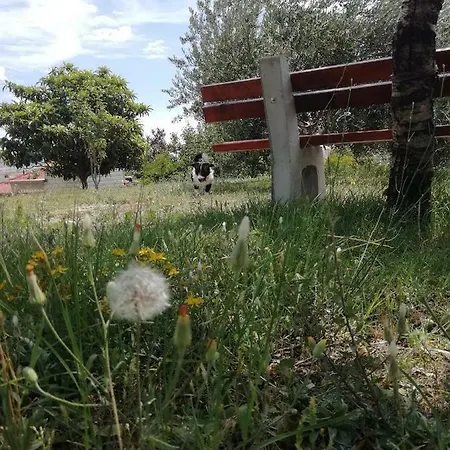 Lucija Apartment Solin
